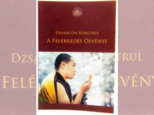 A felebredes osvenye_Jamgon Kongtrul